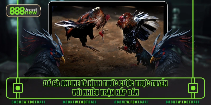 Đá gà online là hình thức cược trực tuyến với nhiều trận hấp dẫn