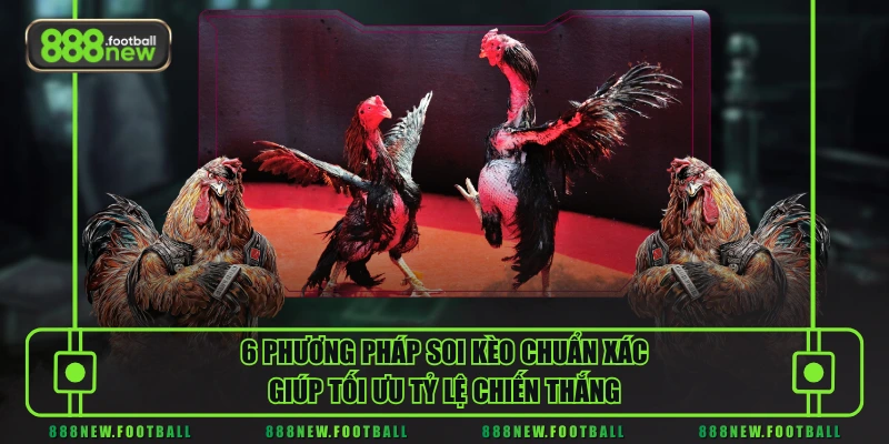 6 phương pháp soi kèo chuẩn xác giúp tối ưu tỷ lệ chiến thắng
