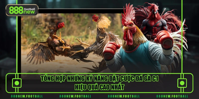 Tổng hợp những kỹ năng đặt cược đá gà C1 hiệu quả cao nhất